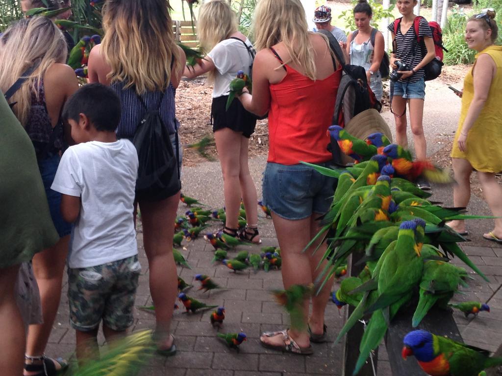 Executive Properties In North Ward Townsville And On Magnetic Island エクステリア 写真