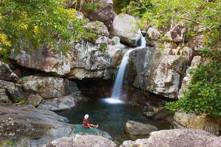 Executive Properties In North Ward Townsville And On Magnetic Island エクステリア 写真