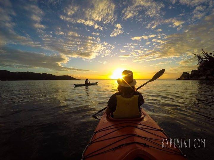 Executive Properties In North Ward Townsville And On Magnetic Island エクステリア 写真